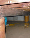 Mold and rot thriving in a dirt floor crawl space in Du Bois