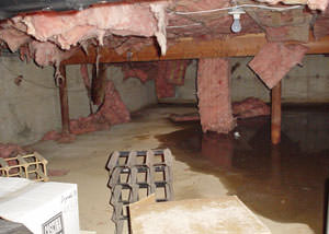 Fiberglass dripping off of the ceilings of a Oil City crawl space