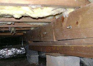 sagging crawl space with wooden shimming a Ridgway crawl space