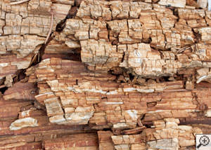 Dry rot damage on wood in Kane
