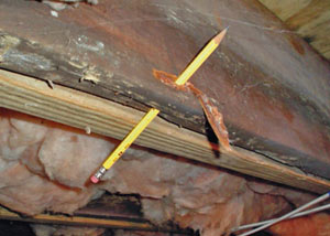 Destroyed crawl space structural wood in Coudersport