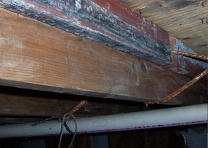 Rotting, decaying wood from mold damage in Franklinville