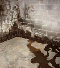 Water seeping through a concrete wall in a Brockway basement