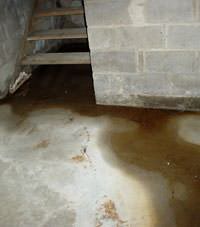 Flooding floor cracks by a hatchway door in Morrisdale