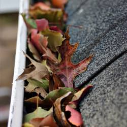 Clogged gutters filled with fall leaves  in Smethport