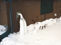 IceGuard® Installed Saint Marys